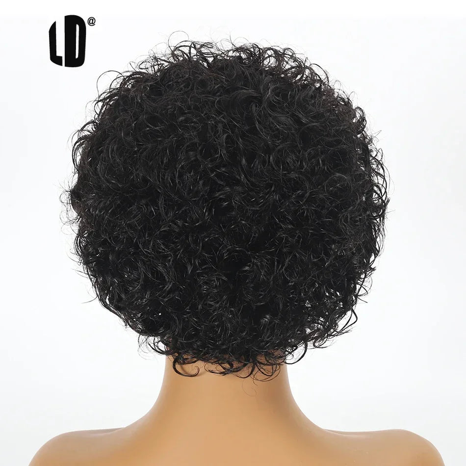 Brazilian Human Hair Wig For Black Women Afro Curly Pixie Bob Short Preplucked Hairline 13X1 Hd Lace Front Bob Water Wave Wig