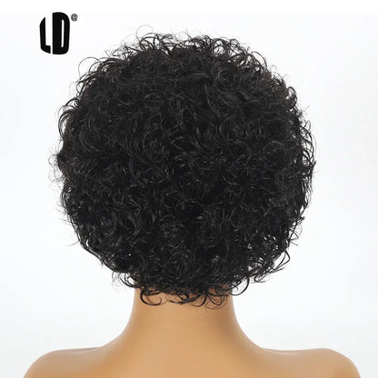 Brazilian Human Hair Wig For Black Women Afro Curly Pixie Bob Short Preplucked Hairline 13X1 Hd Lace Front Bob Water Wave Wig