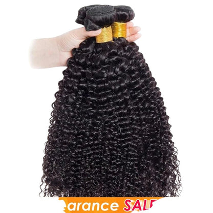 RitzWigs Brazilian kinky curly human hair bundles with machine double weft in natural black, held by a hand.