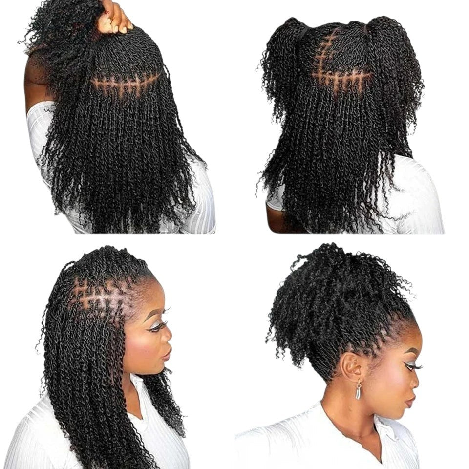 RitzWigs Brazilian human hair extensions featuring kinky curly texture styled in various braided and twisted updos.