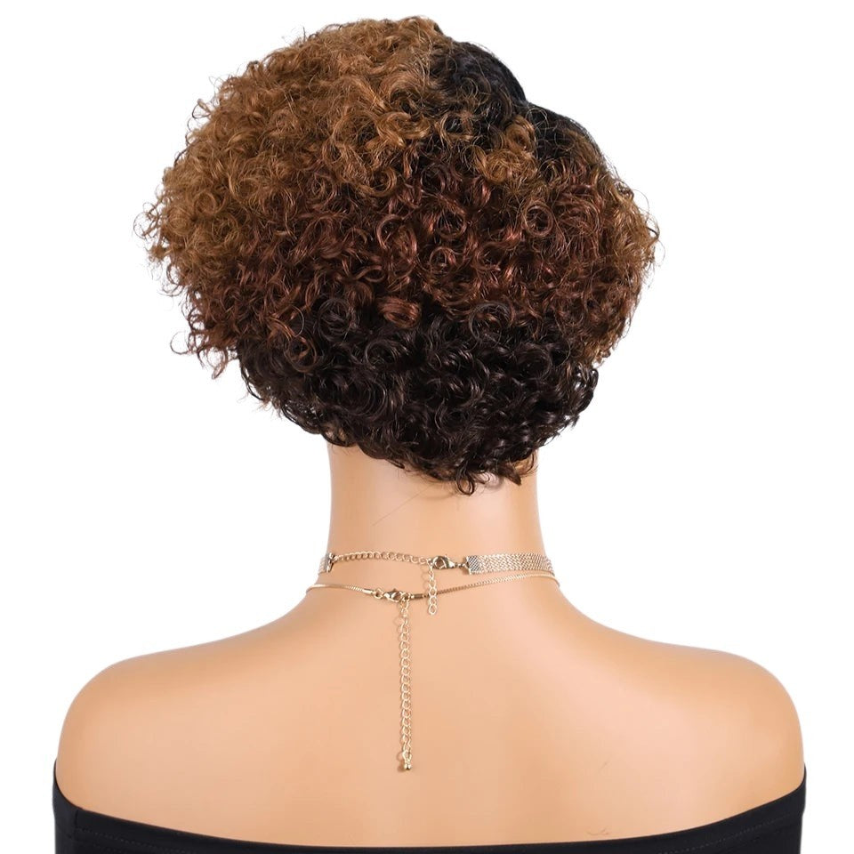 RitzWigs ginger and brown curly pixie cut human hair wig on a mannequin, back view showing short layered texture.