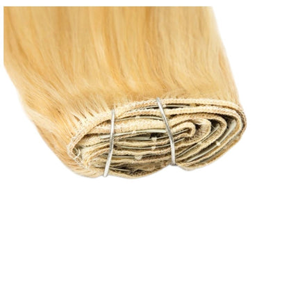 RitzWigs honey blonde straight human hair clip-in extensions with secure weft clips