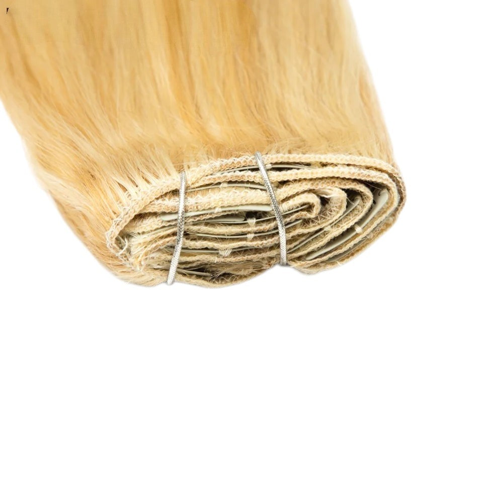 RitzWigs honey blonde straight human hair clip-in extensions with secure metal clips on a white background.