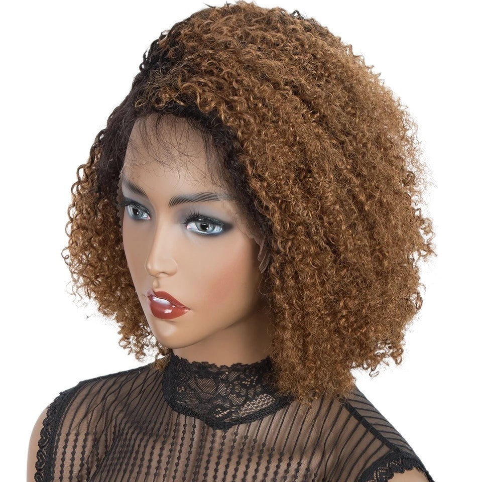 RitzWigs ombre brown and black kinky curly human hair lace front bob wig on a mannequin head.
