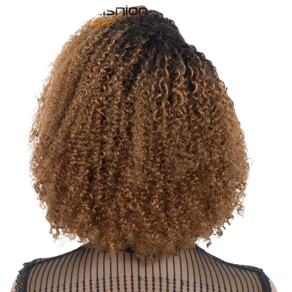 RitzWigs ombre T1B/30 kinky curly human hair bob wig with tight curls and a natural volume, back view.