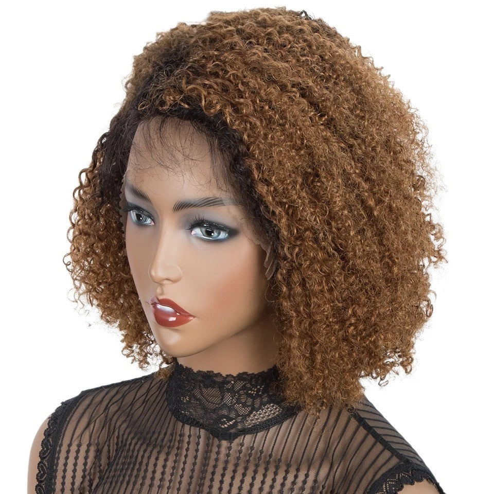 RitzWigs ombre T1B/30 kinky curly lace front bob wig on a mannequin, featuring a natural hairline and brown curls.