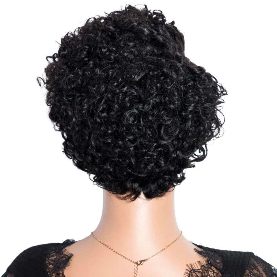 RitzWigs short black curly pixie cut human hair wig seen from the back on a mannequin
