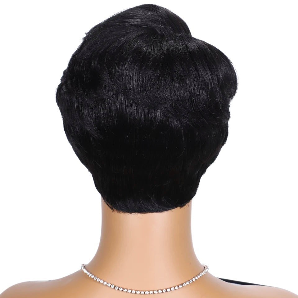 RitzWigs short black straight pixie cut human hair wig on a mannequin head, back view.