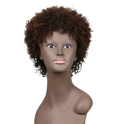 RitzWigs short dark brown afro kinky curly Brazilian Remy human hair wig on a mannequin head