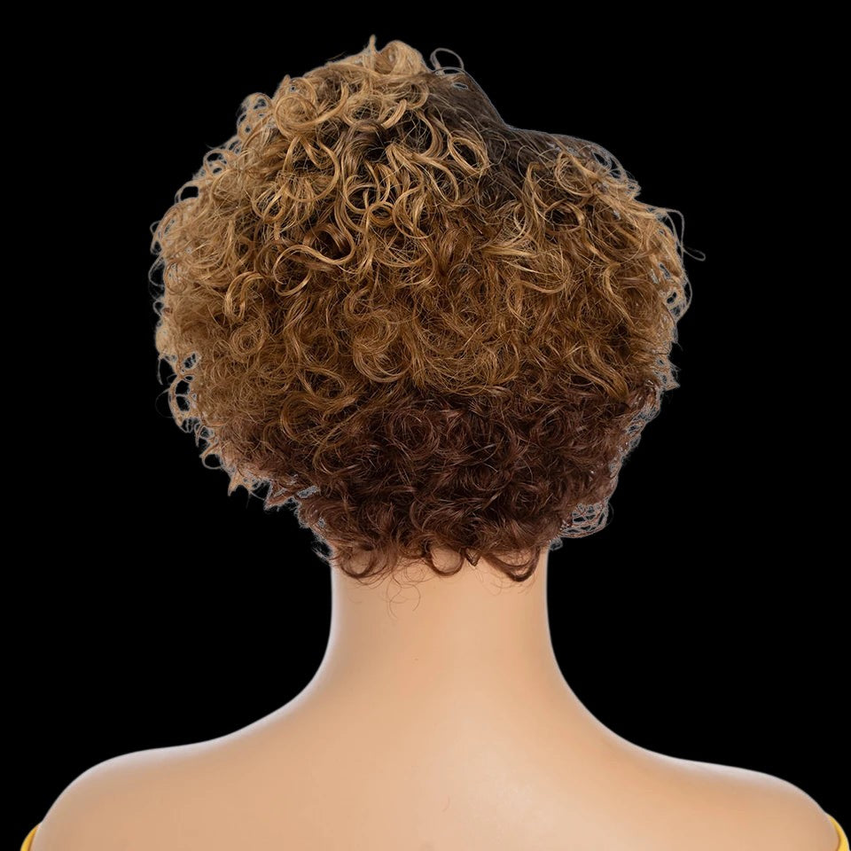 RitzWigs short curly pixie cut human hair wig with brown highlights on a mannequin head, back view.