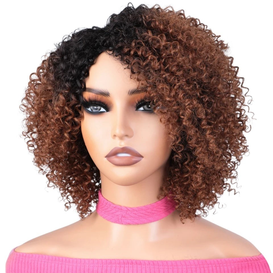 RitzWigs short kinky curly bob wig with brown and black highlights on a mannequin head.