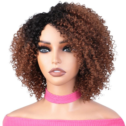 RitzWigs short kinky curly bob wig with brown and black highlights on a mannequin head
