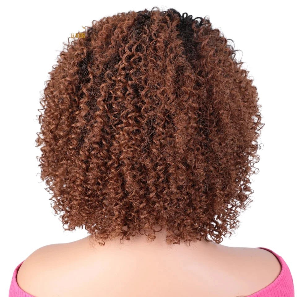 RitzWigs short kinky curly bob wig in highlighted brown Brazilian Remy human hair on a mannequin