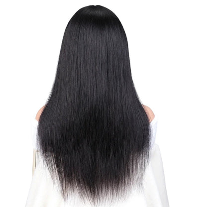 RitzWigs straight black human hair lace front wig viewed from the back, featuring long Remy hair with a natural finish.